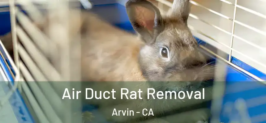  Air Duct Rat Removal Arvin - CA