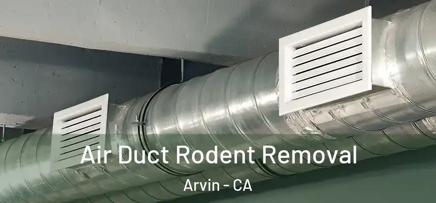  Air Duct Rodent Removal Arvin - CA