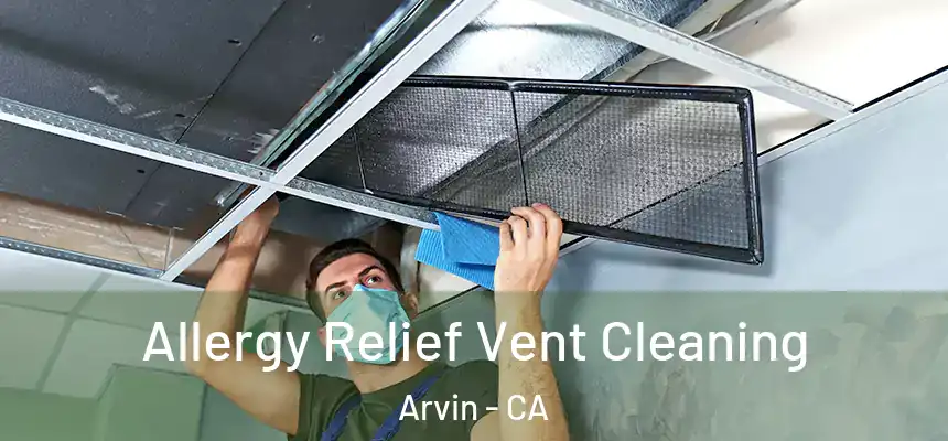  Allergy Relief Vent Cleaning Arvin - CA