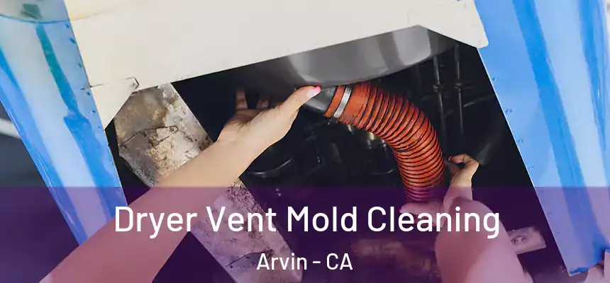 Dryer Vent Mold Cleaning Arvin - CA