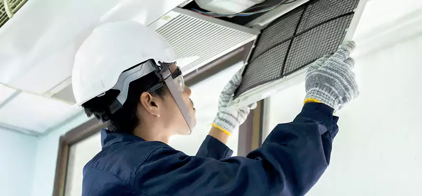 Our Mold & Mildew Removal from Air Ducts Services in Arvin, CA