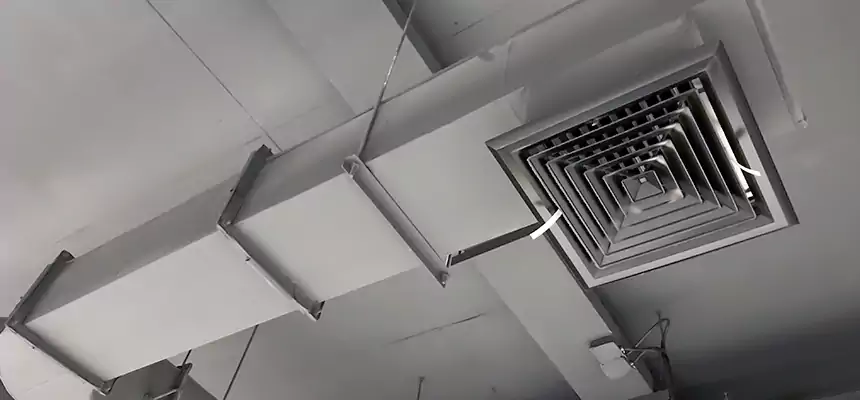 Our Pest Removal From Ducts Services in Arvin, CA