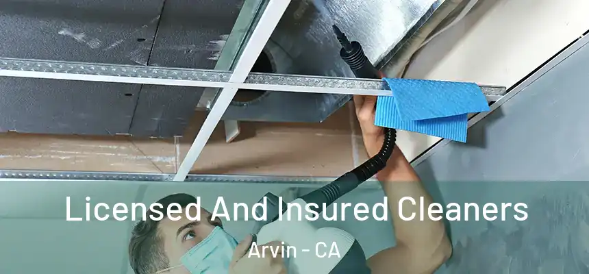  Licensed And Insured Cleaners Arvin - CA