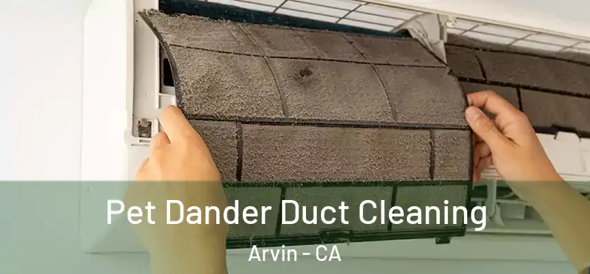 Pet Dander Duct Cleaning Arvin - CA