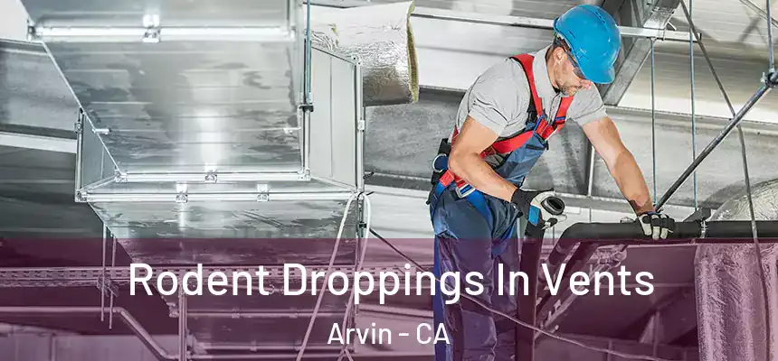  Rodent Droppings In Vents Arvin - CA