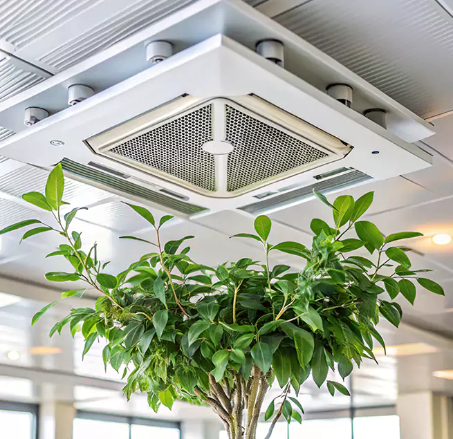 Why Homeowners & Businesses Trust Us in Arvin, CA?